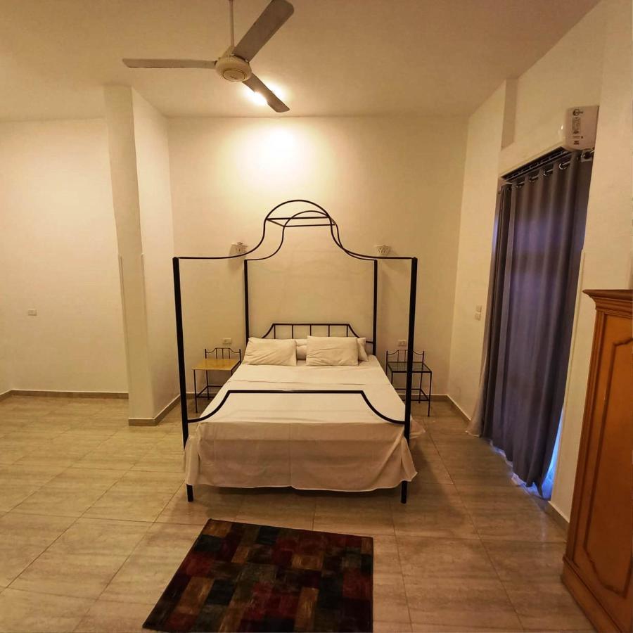 Ali Luxury Villa Luxor Kültér fotó